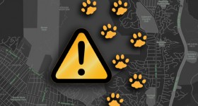 mountain_lion_sighting